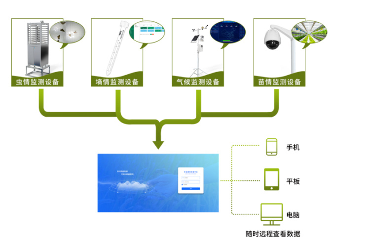 Topology of agricultural four-condition monitoring system
