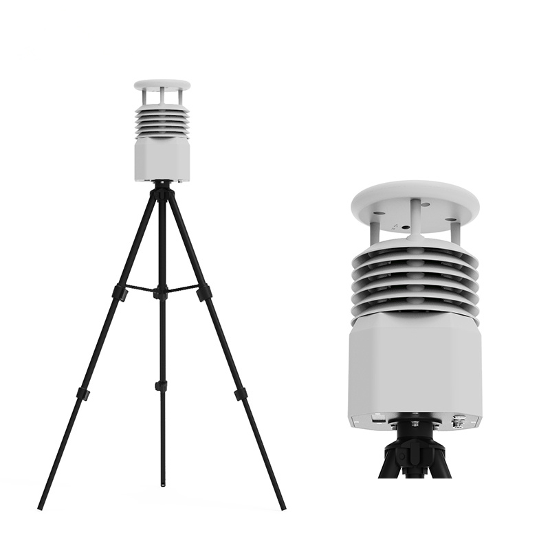 Two-element portable weather station