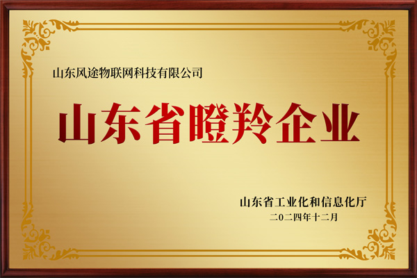 Shandong Province Gazelle Enterprise Certificate
